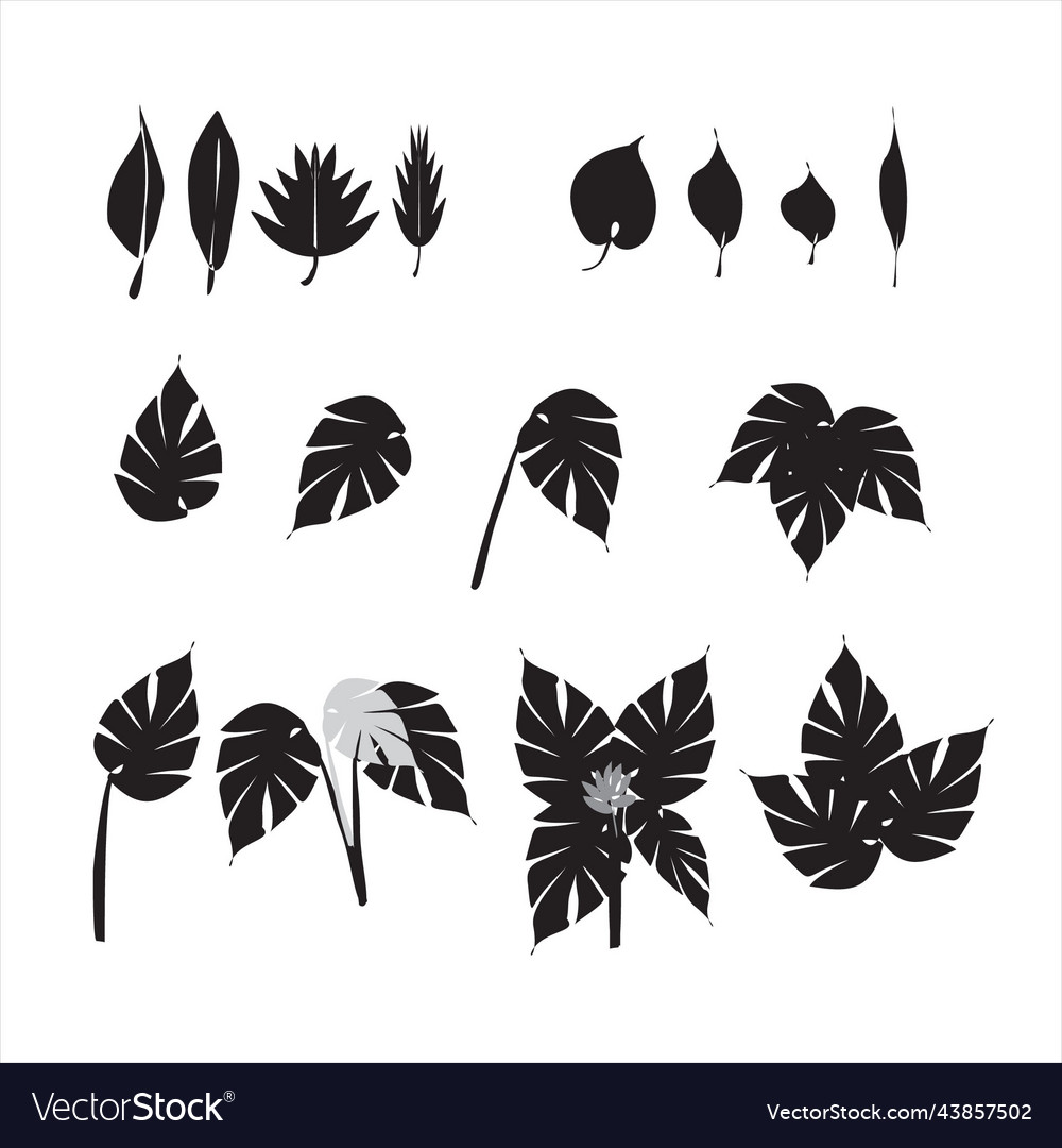 Leaf source graphic element vector image Leaf source graphic element
