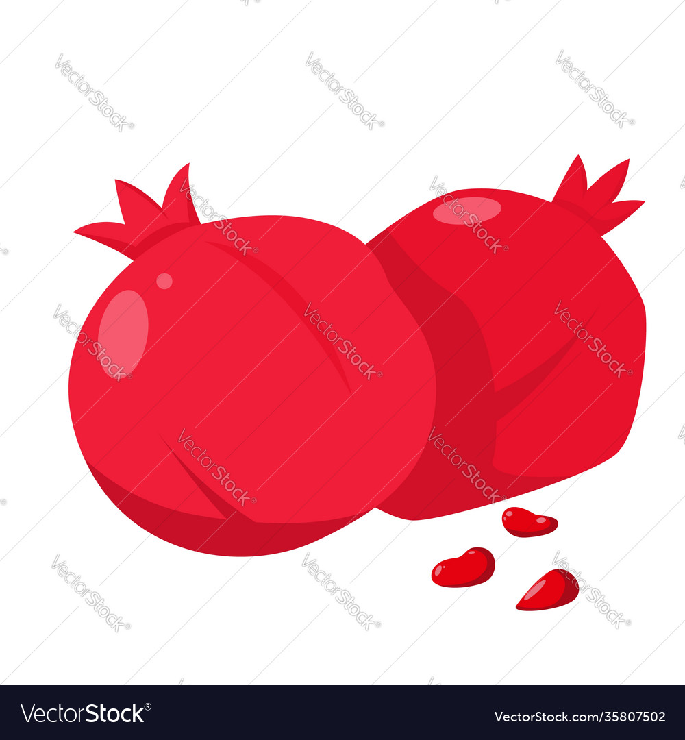 Pomegranate fruit icon