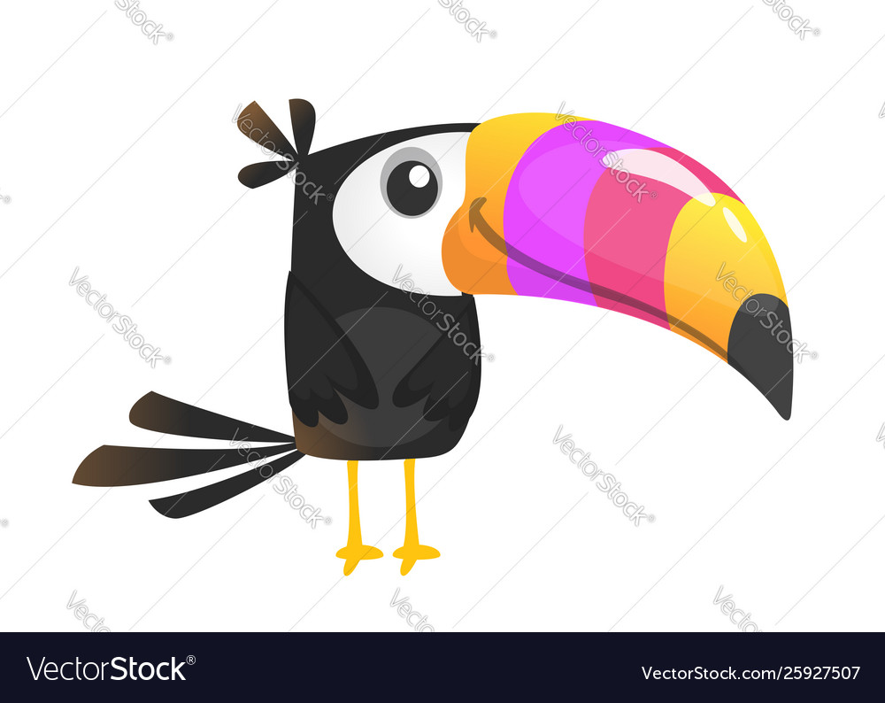 Cute cartoon toucan bird isolated