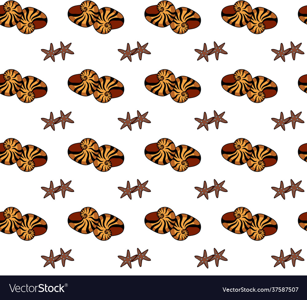 Set seamless pattern with shells vector image Set seamless pattern with shells