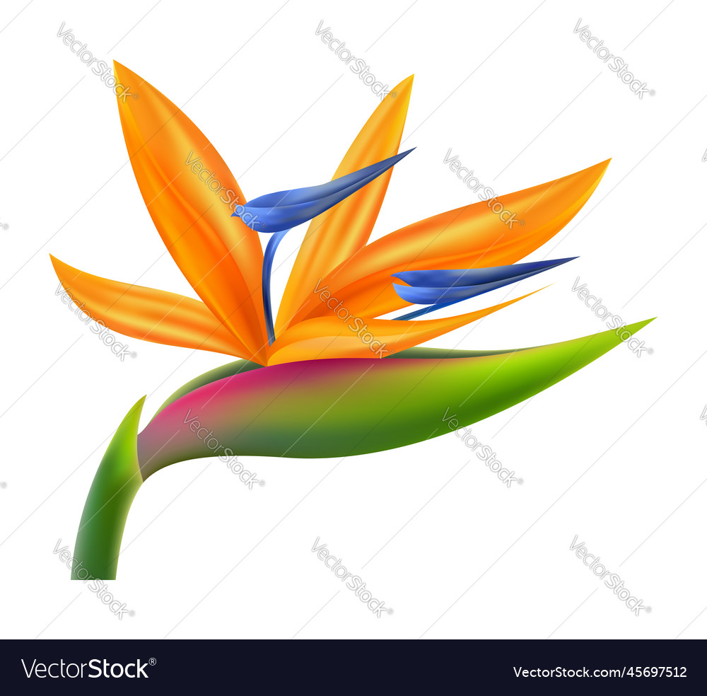Art Royalty Free Vector Image - VectorStock