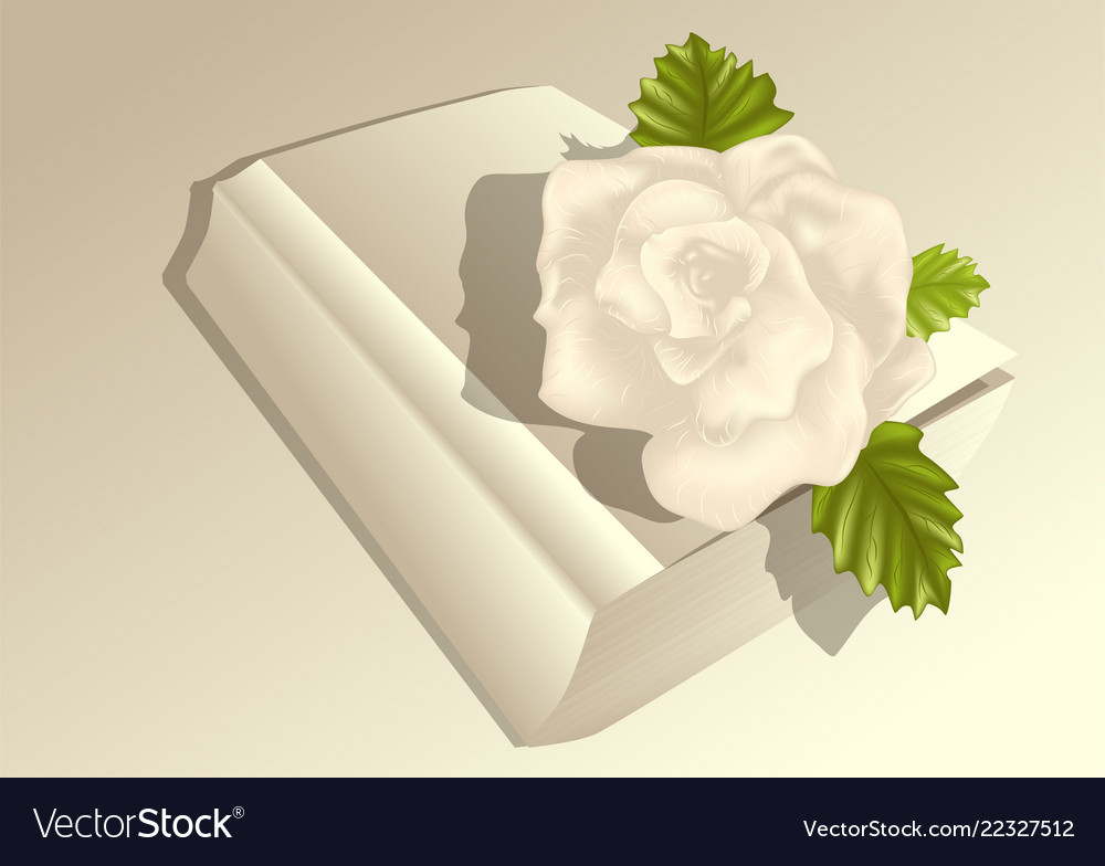 Rose on the book