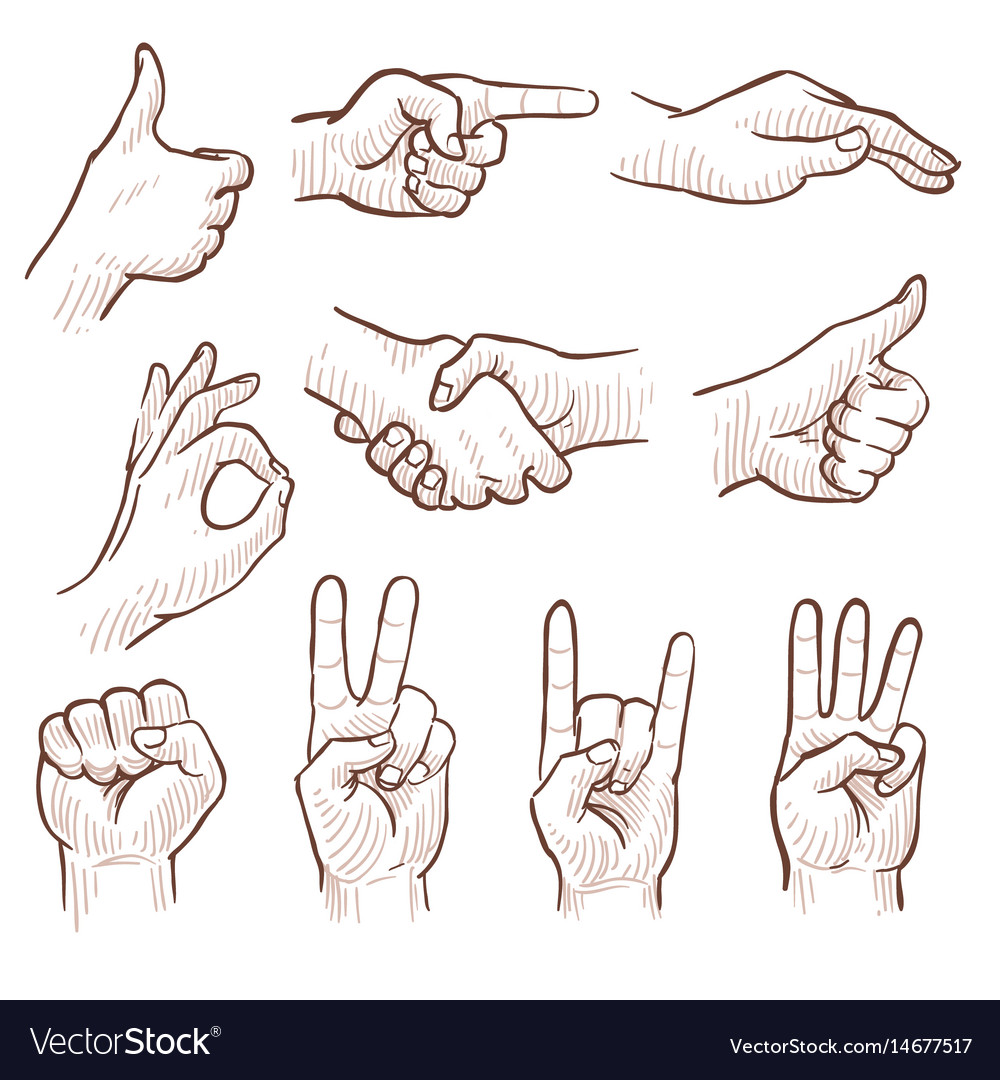 Download Hand drawing sketch man hands showing different Vector Image