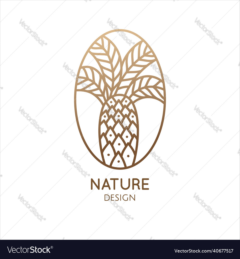 Logo of palm in oval tropical leafs linear