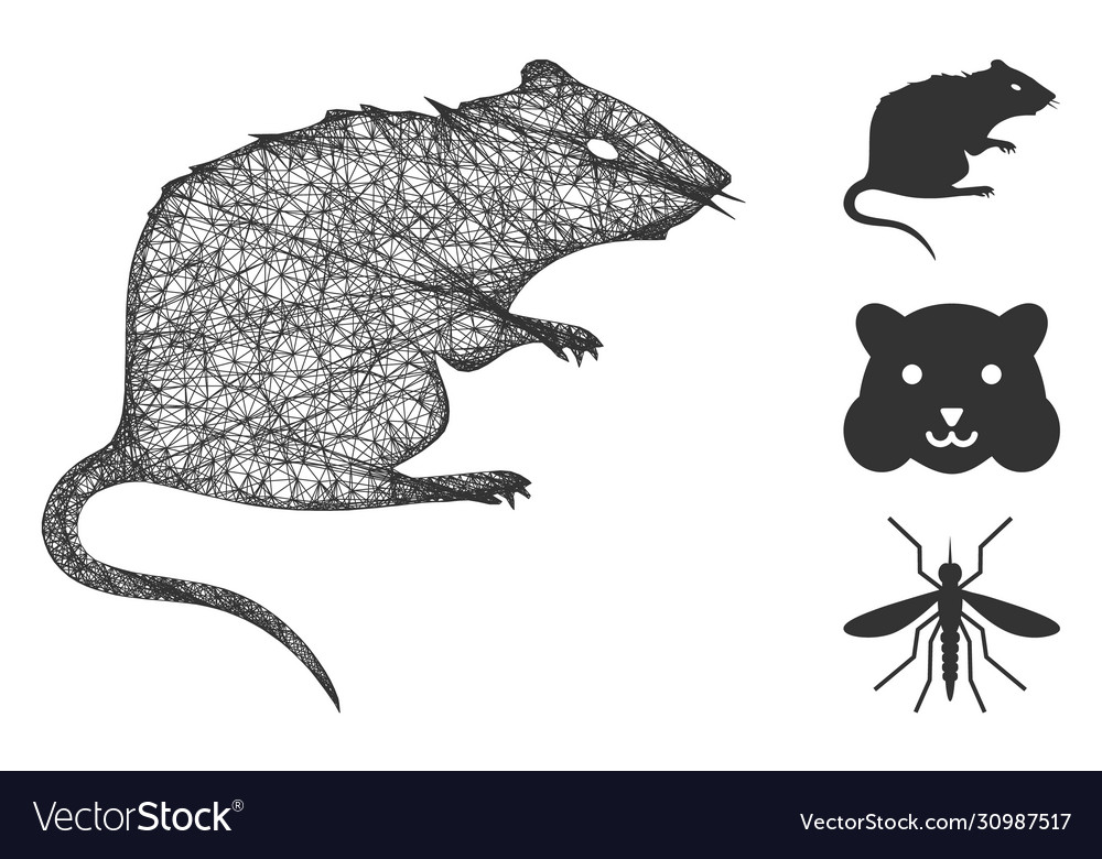 Rat polygonal web mesh vector image Rat polygonal web mesh