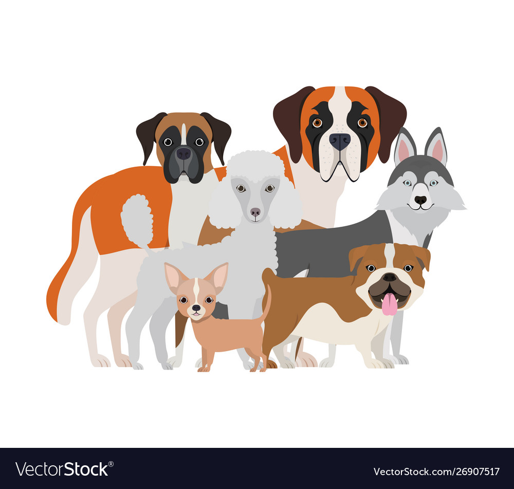 Set adorable dogs on white background Royalty Free Vector