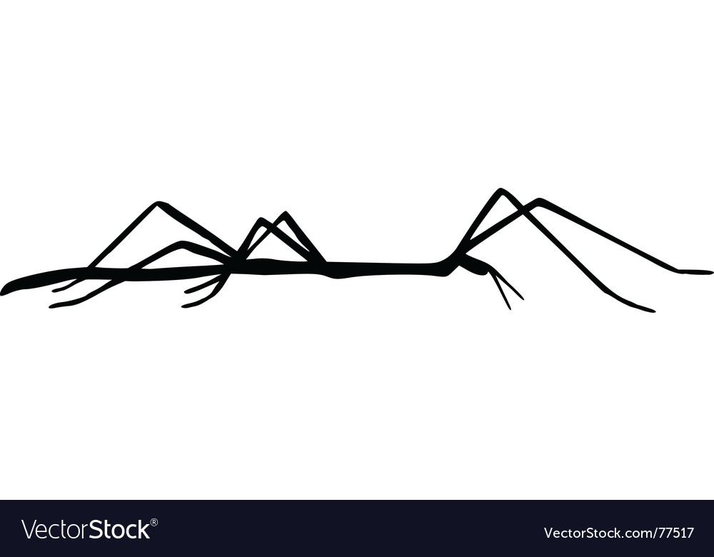 Stick insect