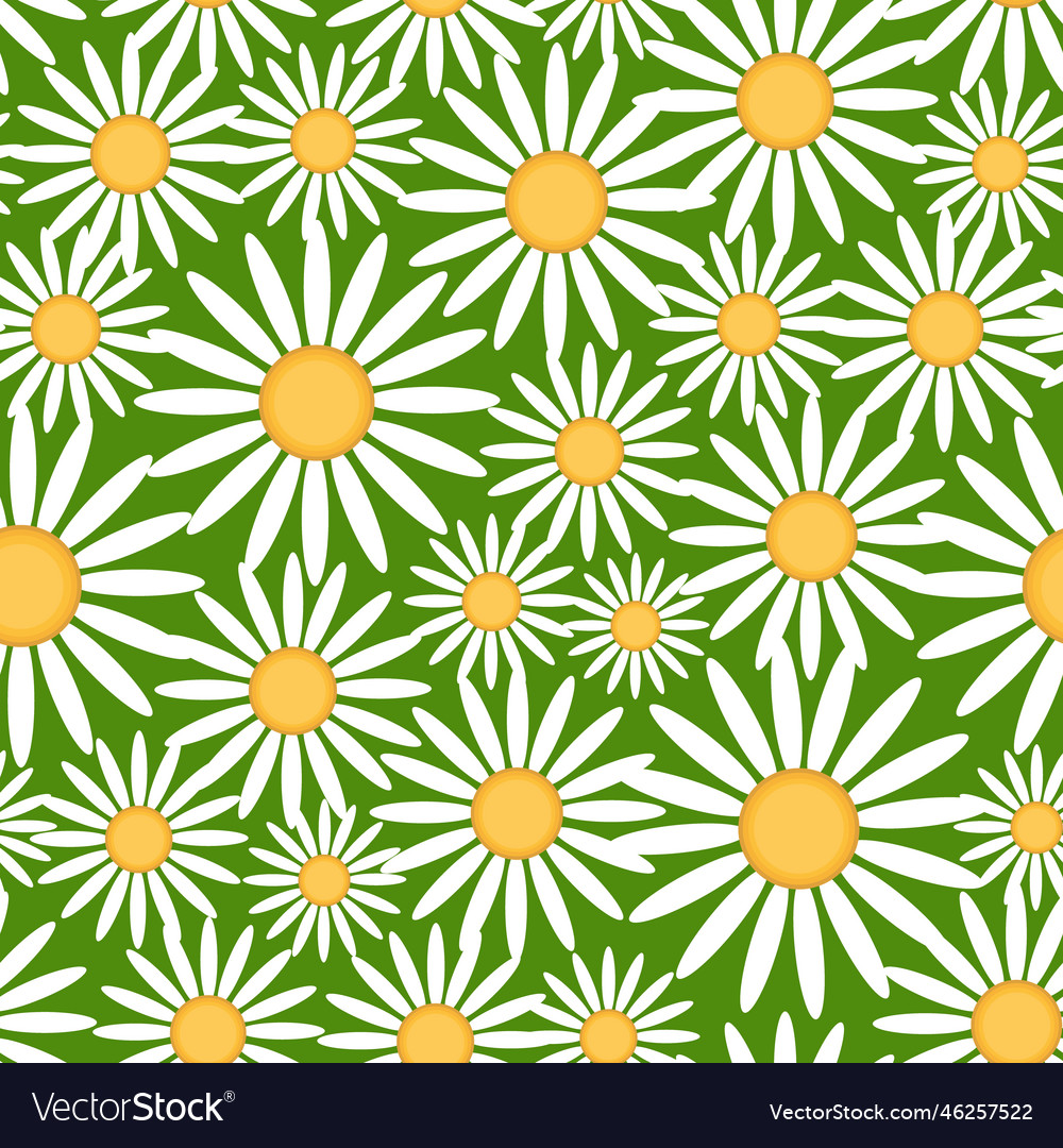 Chamomile pattern