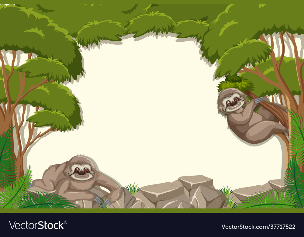 Empty background with sloth in forest scene