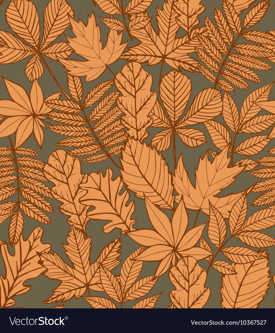 Autumn background with leaves