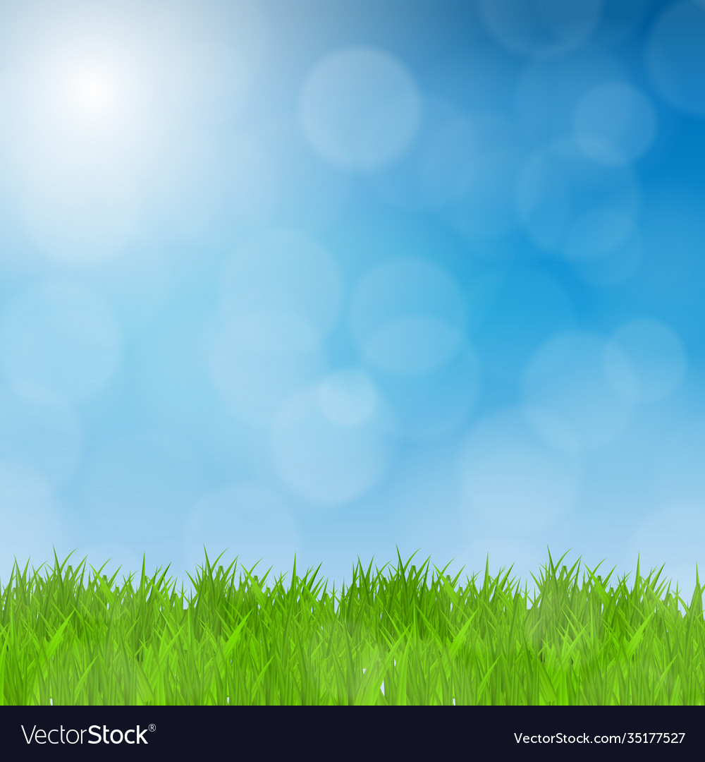 Green grass field and blue sky natural background