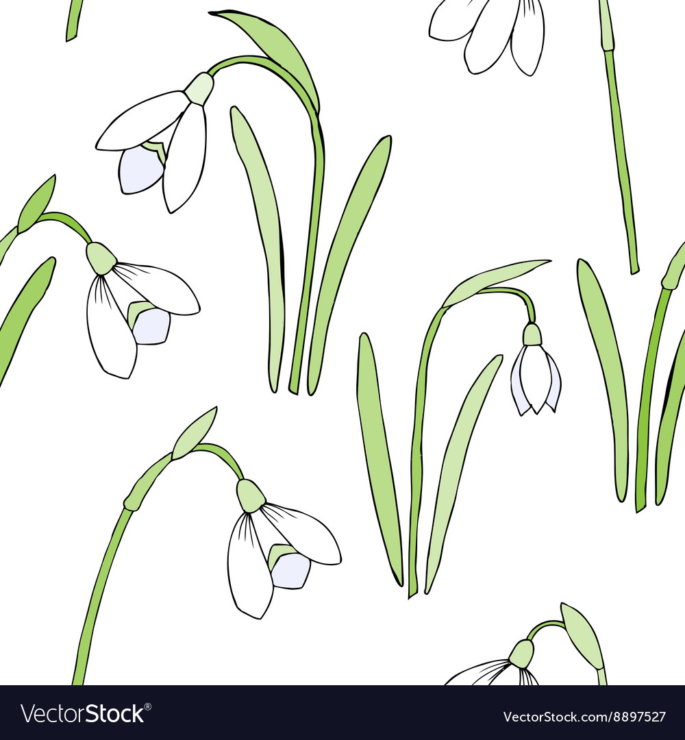 Seamless pattern with snowdrops