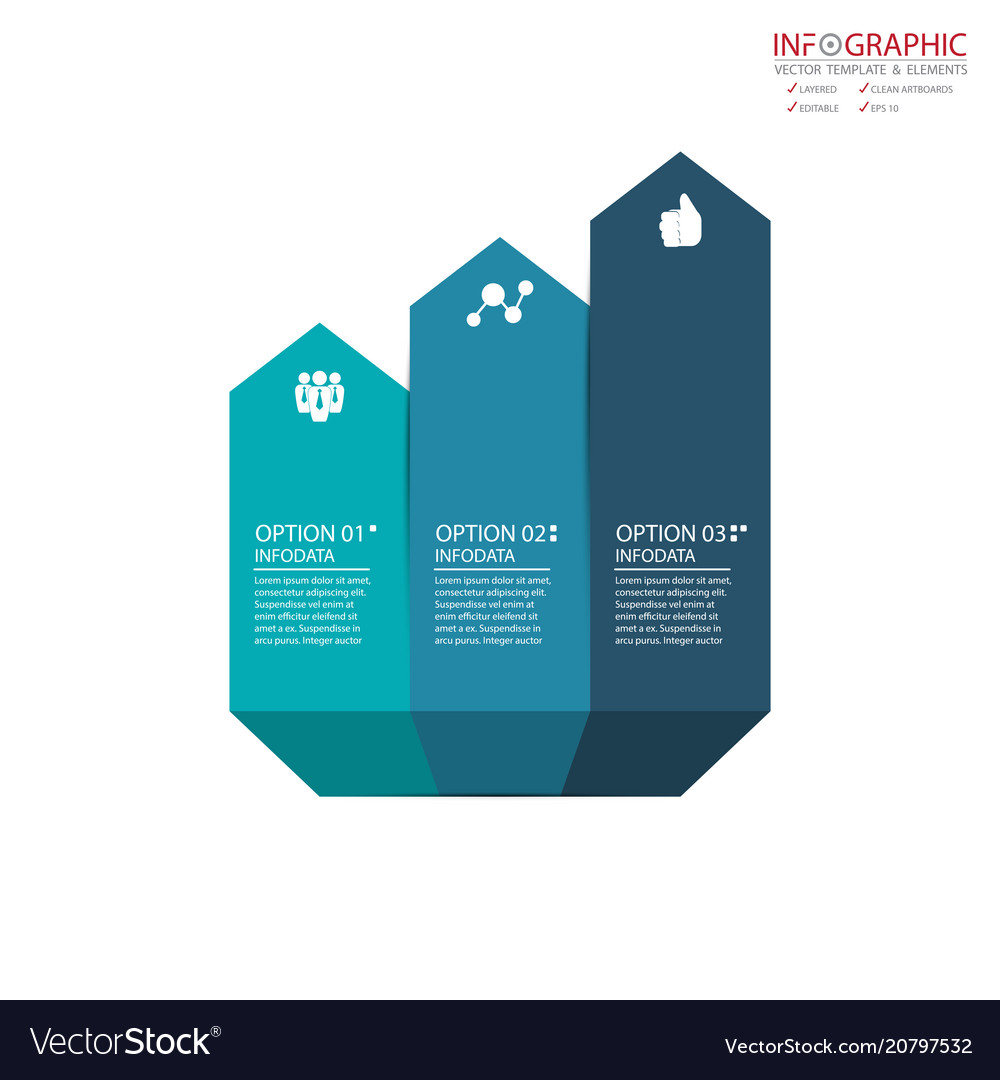 Abstract element infographics 3 option design vector image Abstract element infographics 3 option design