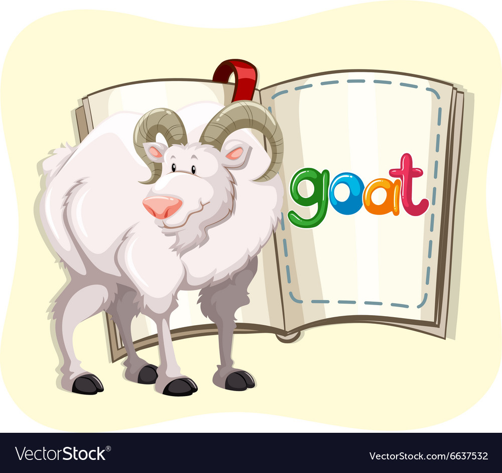 Goat with white fur and a book