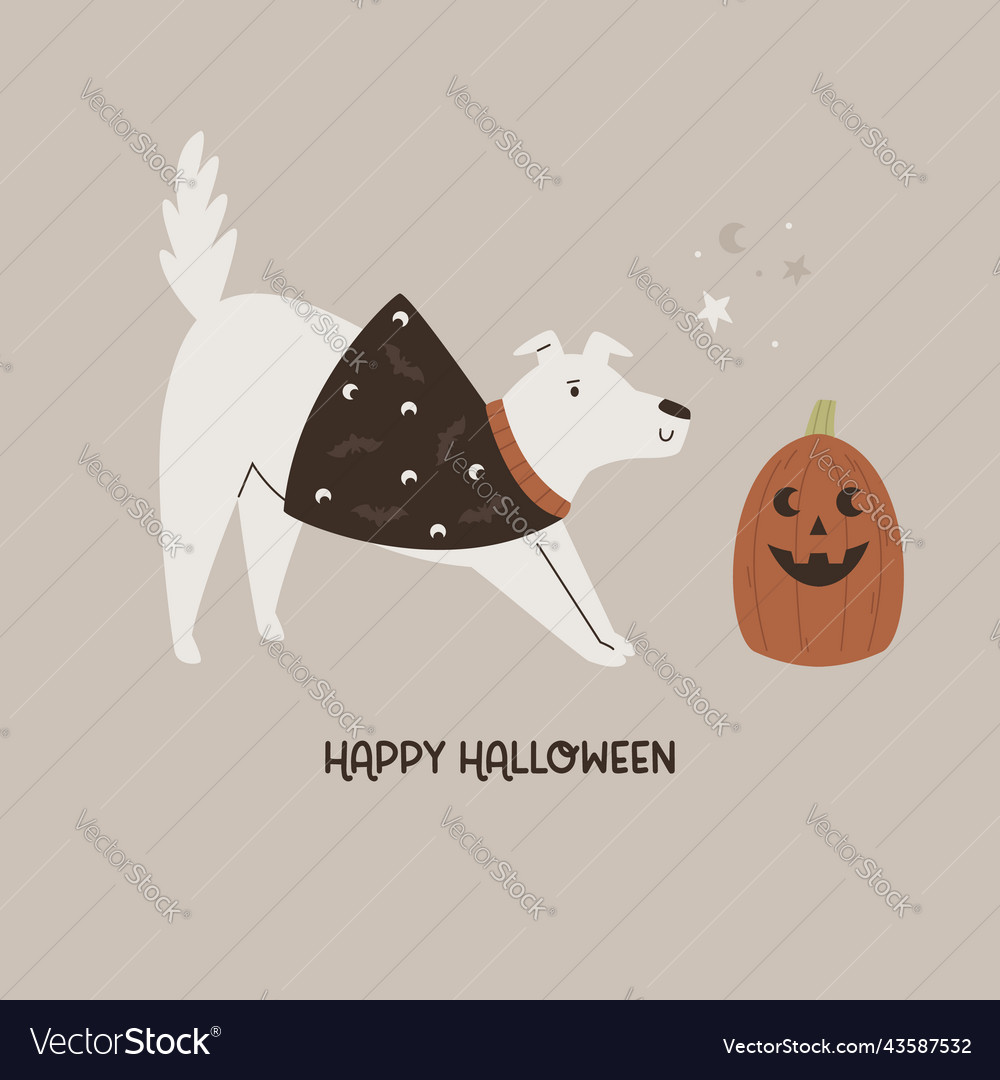 Halloween with funny dog and pumpkin