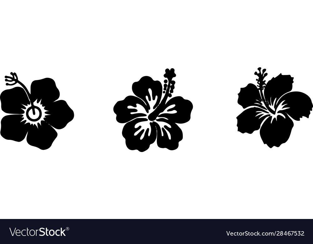 Hibiscus icon isolated on background Royalty Free Vector