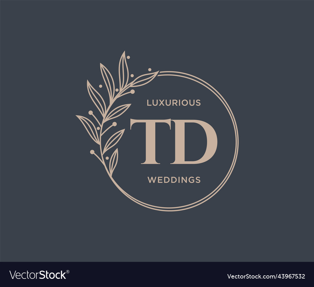 Td initials letter wedding monogram logos Vector Image