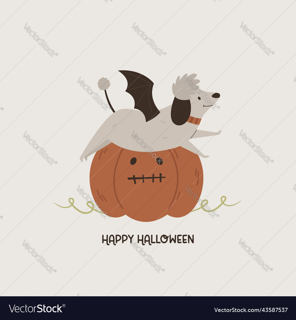 Halloween with funny bat dog and pumpkin