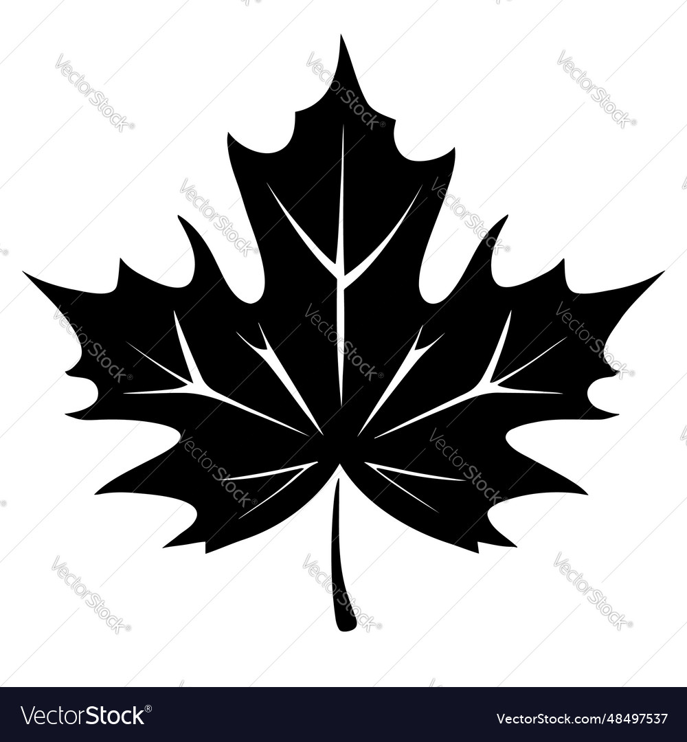 Maple autumn leaf silhouette Royalty Free Vector Image