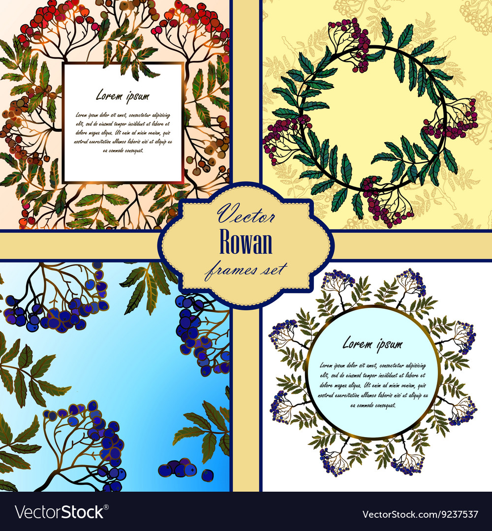 Set of frames with rowan