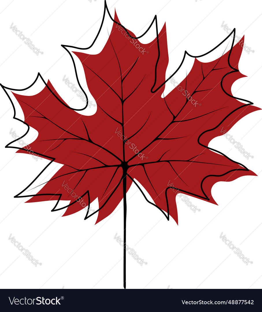 Autumn maple leaf Royalty Free Vector Image - VectorStock