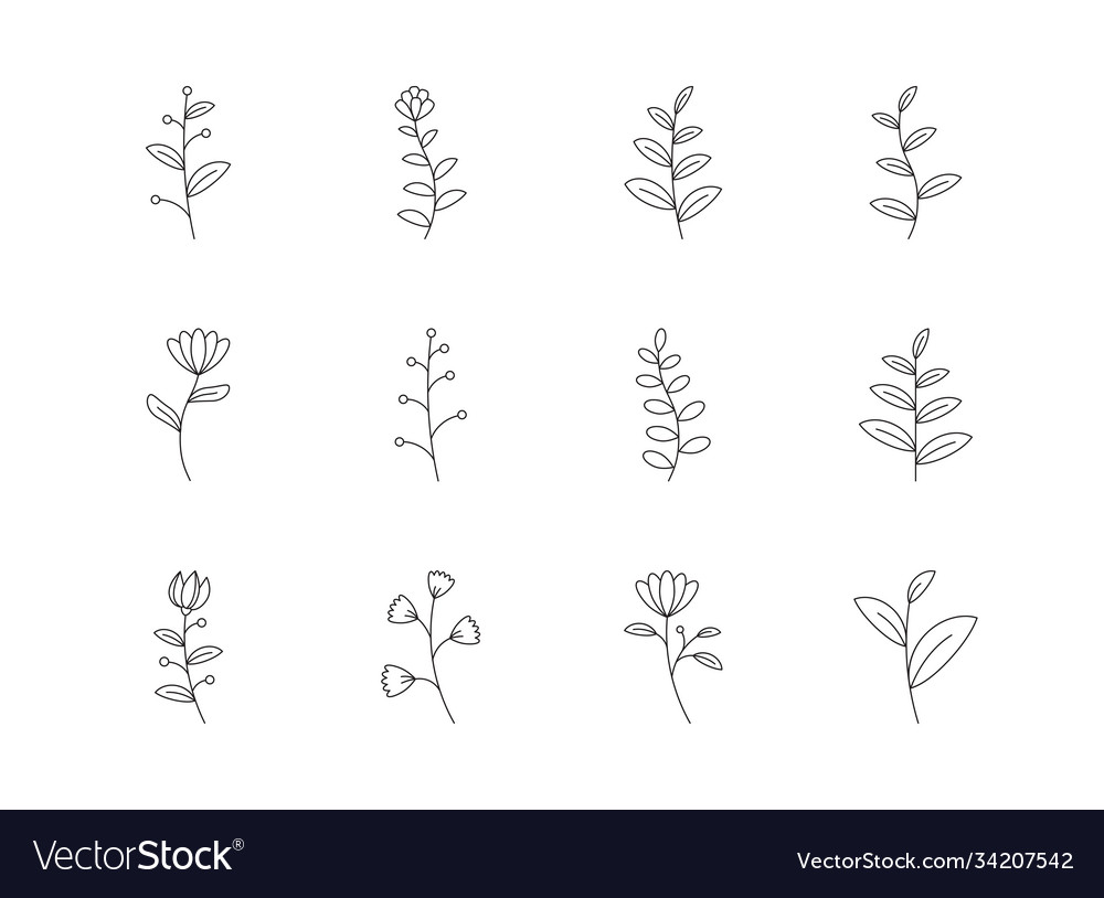 Floral and flower icon set outline style symbols Vector Image