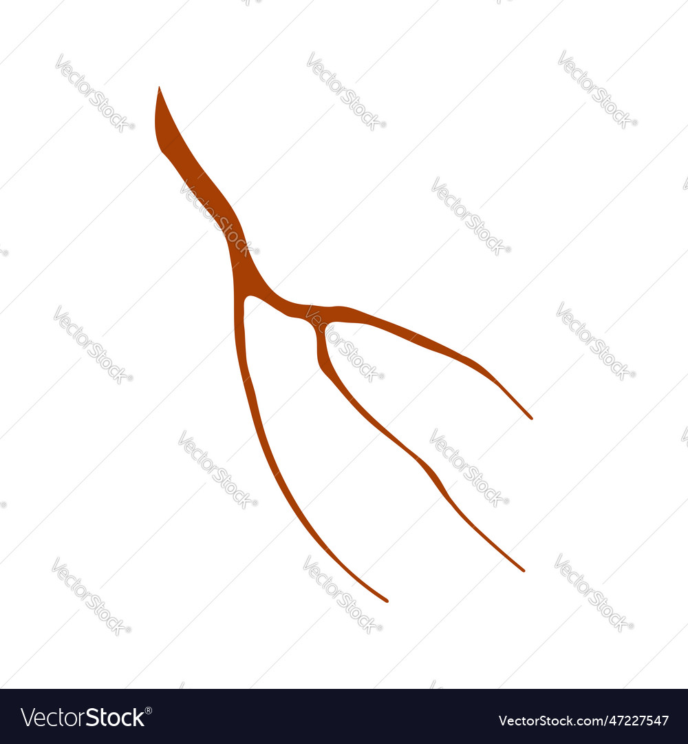 Tree branch twig hand drawn