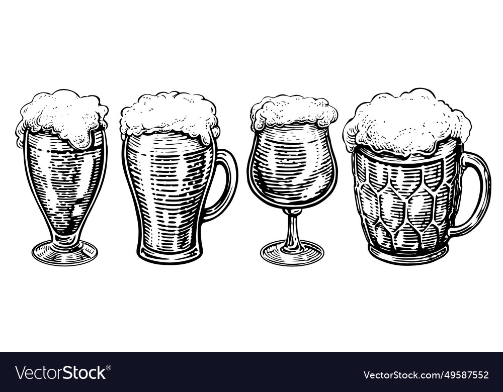 Beer drink in mugs and glasses set Royalty Free Vector Image