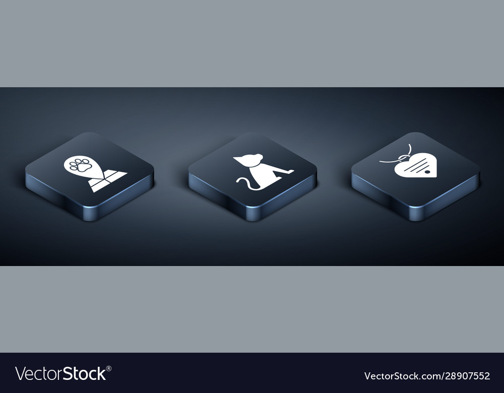Set isometric map pointer with veterinary Vector Image Set isometric map pointer with veterinary