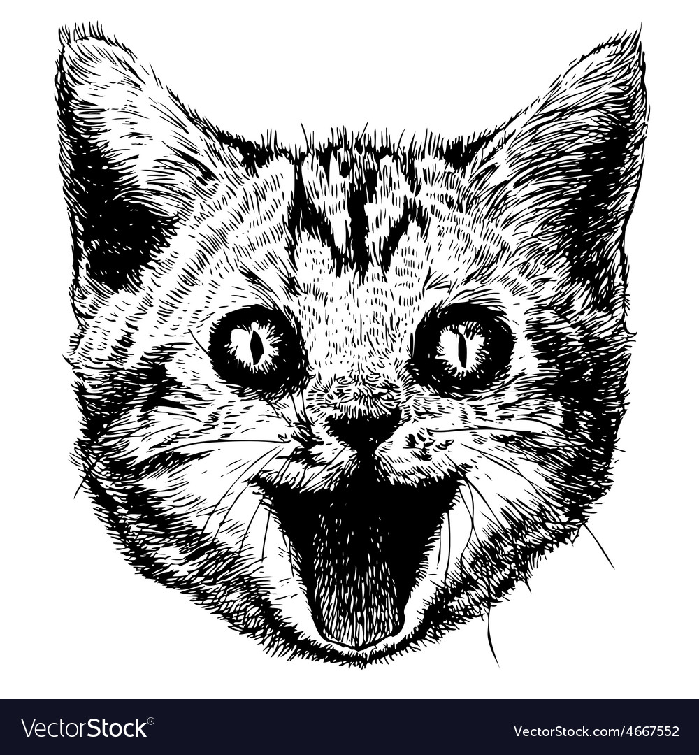 Smiling cat 02
