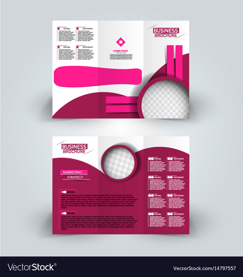 Brochure Mock Up Design Template Tri Fold Vector Image