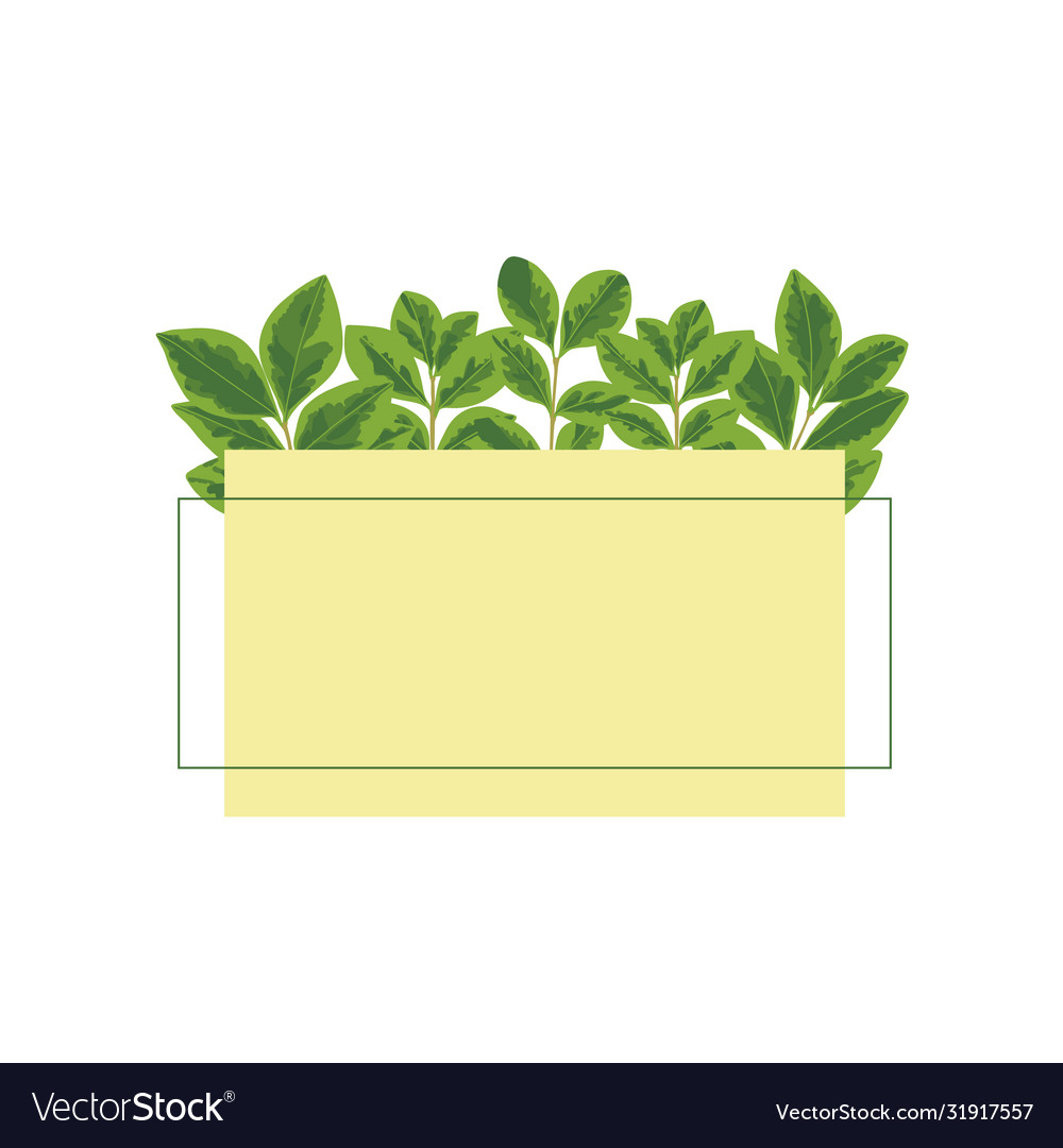 Simple frame with leaves space for text Vector Image Simple frame with leaves space for text