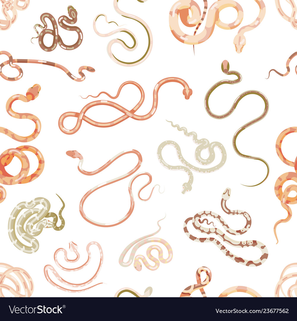 Elegant seamless pattern with snakes on white