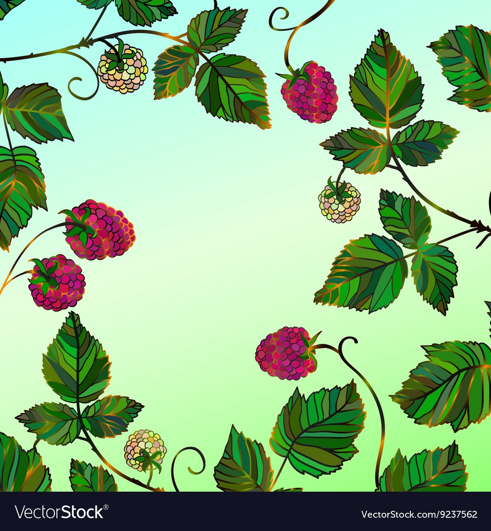 Frame with a raspberry