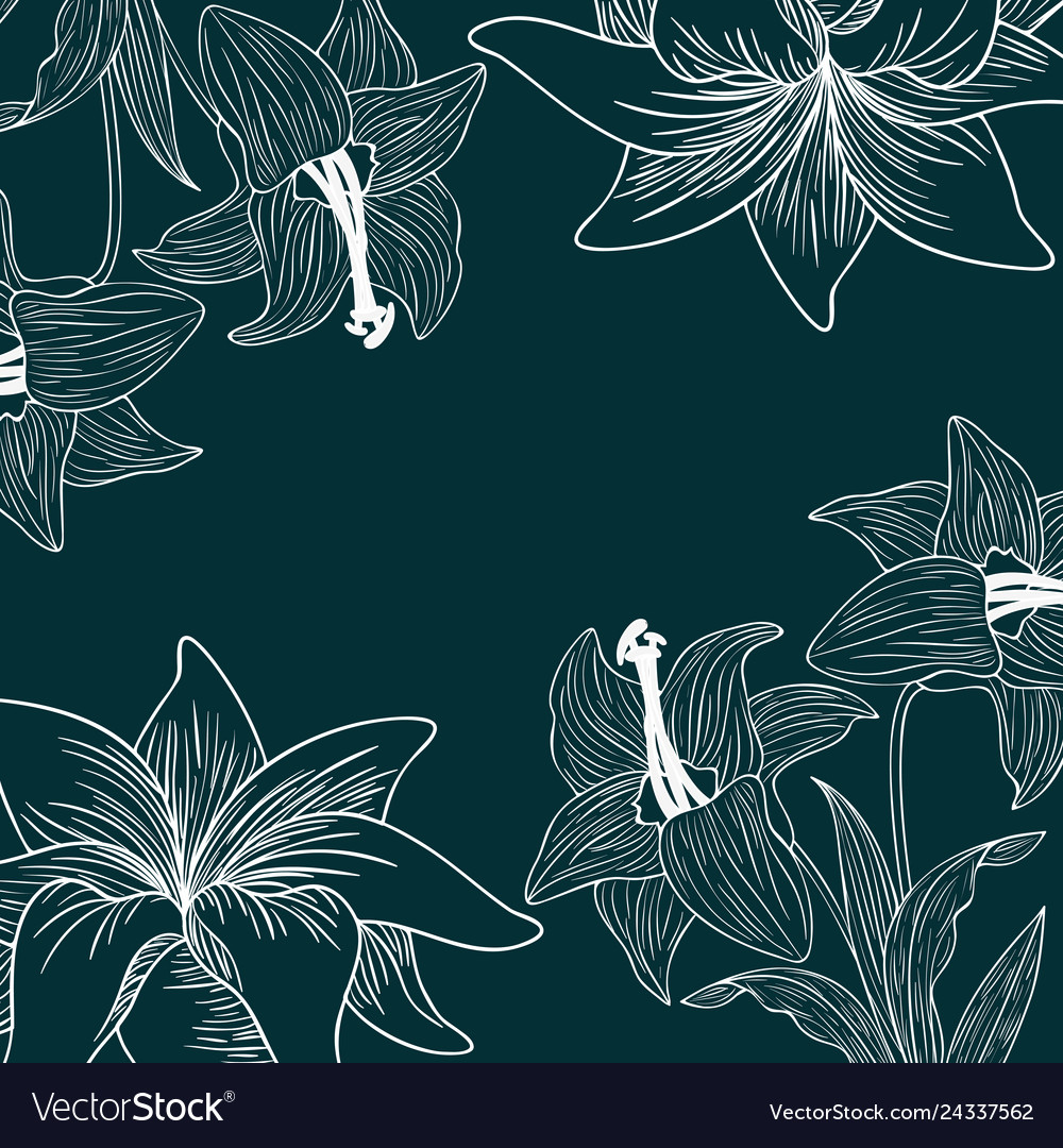 Pattern plants and herbs isolated icon