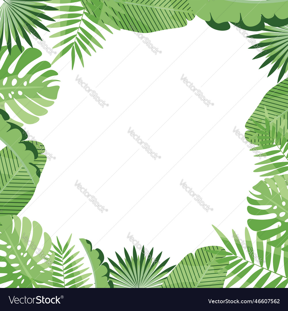 Square frame made of tropical leaves image Vector Image