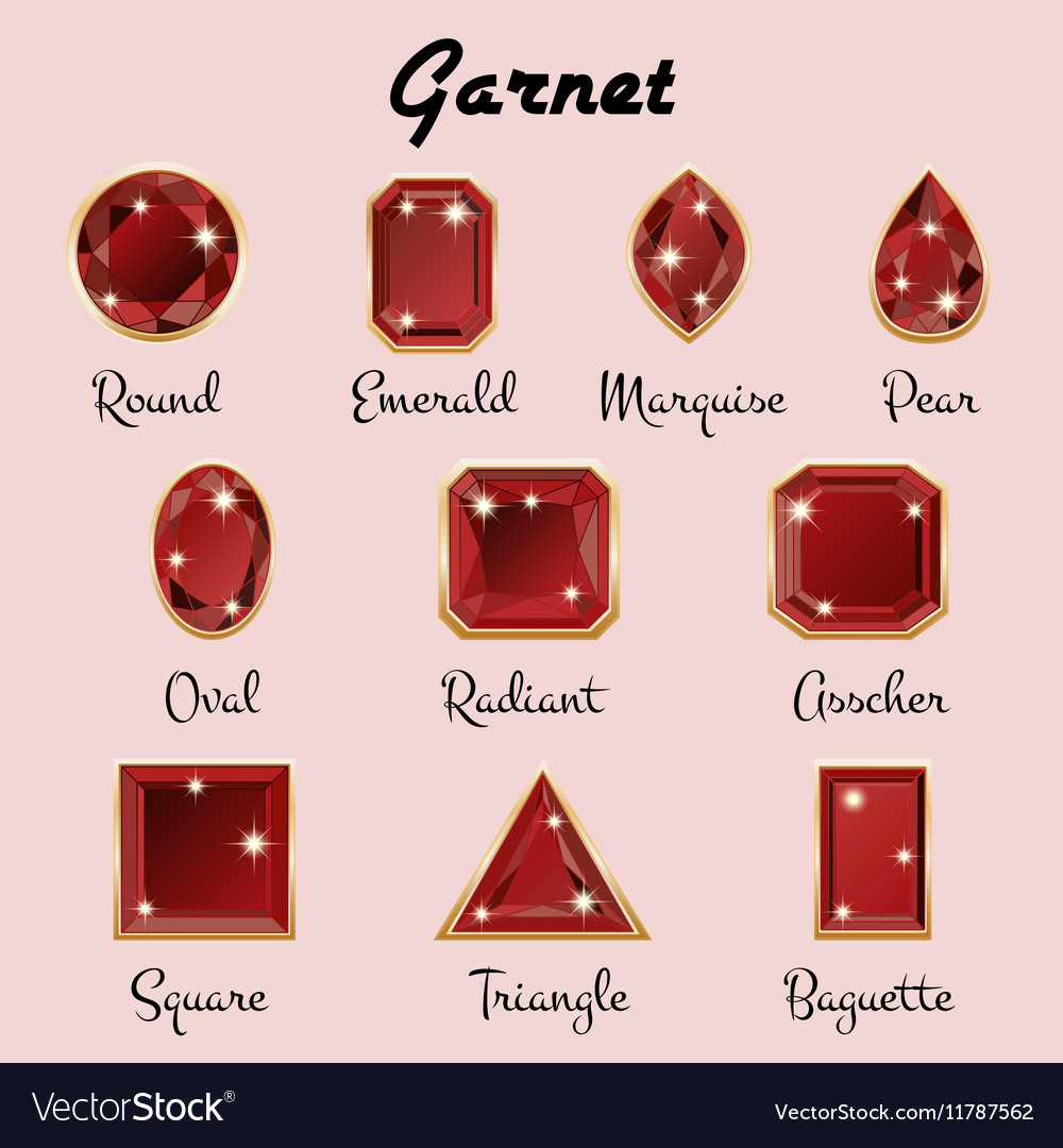 Types of cuts garnet Royalty Free Vector Image