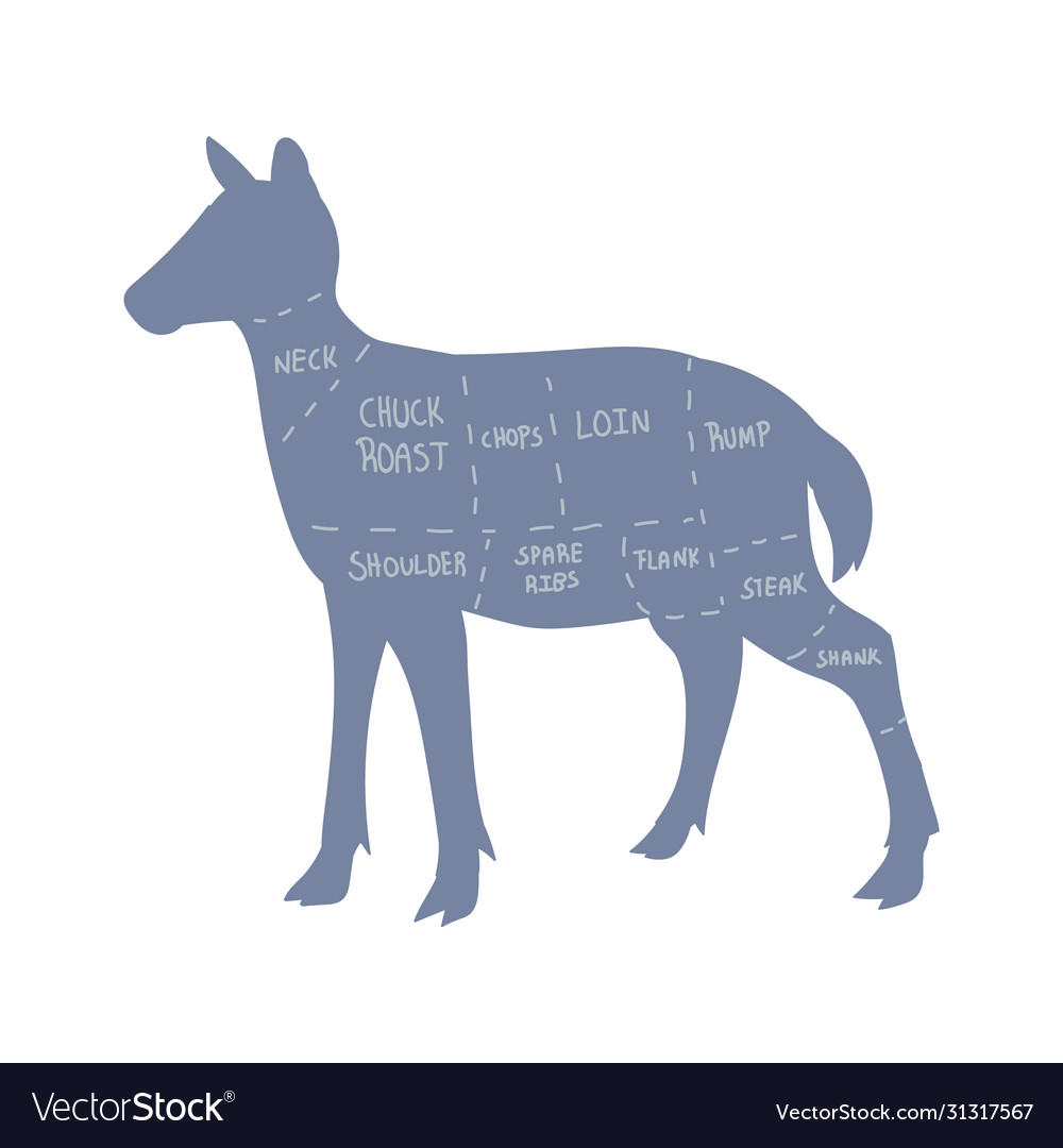 Cute french farmhouse deer butcher chart Vector Image