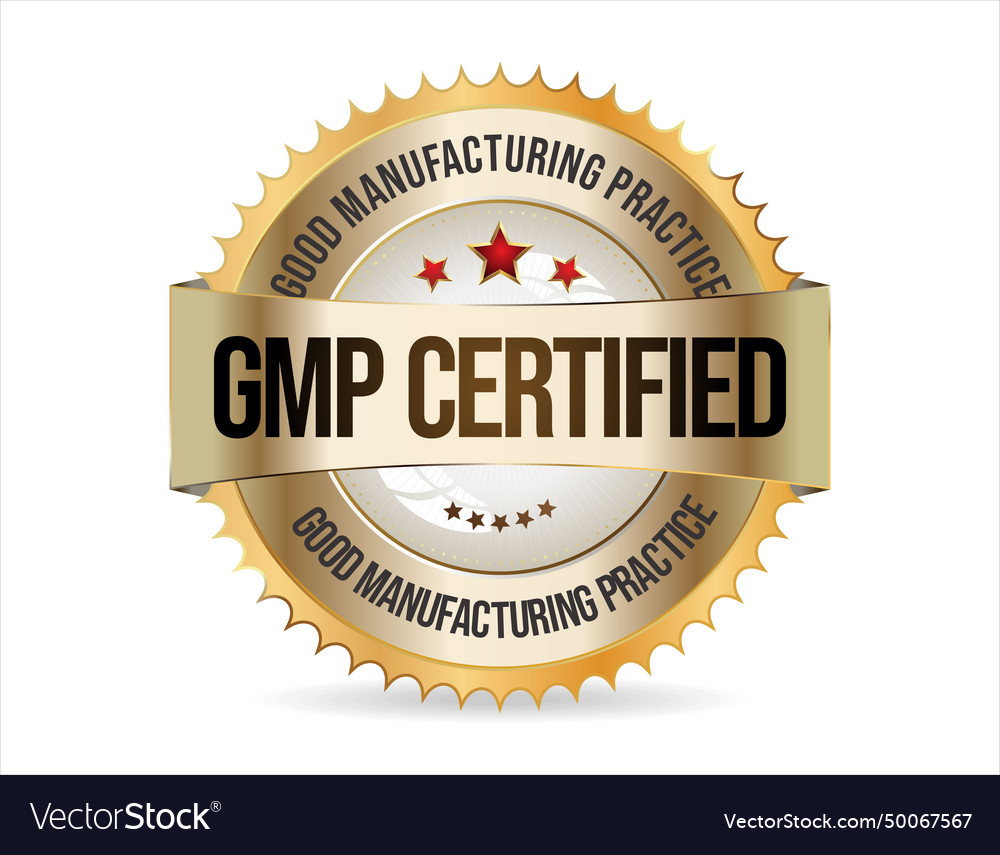 Gmp good manufacturing practice certified gold Vector Image