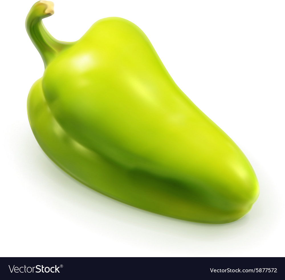 Green pepper