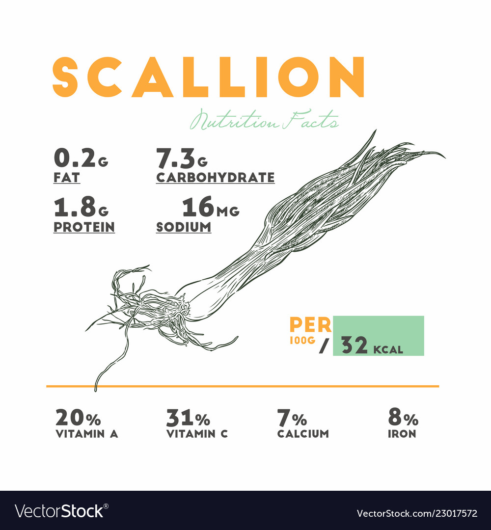 Nutrition facts of raw scallion Royalty Free Vector Image