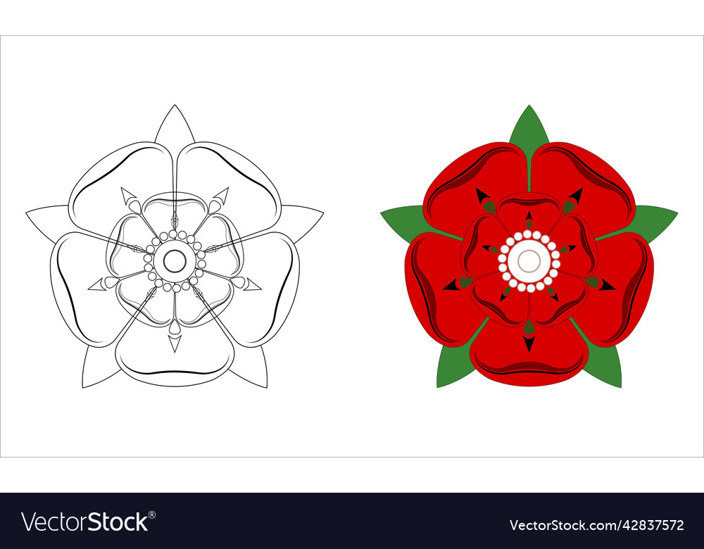 Print vector image Print