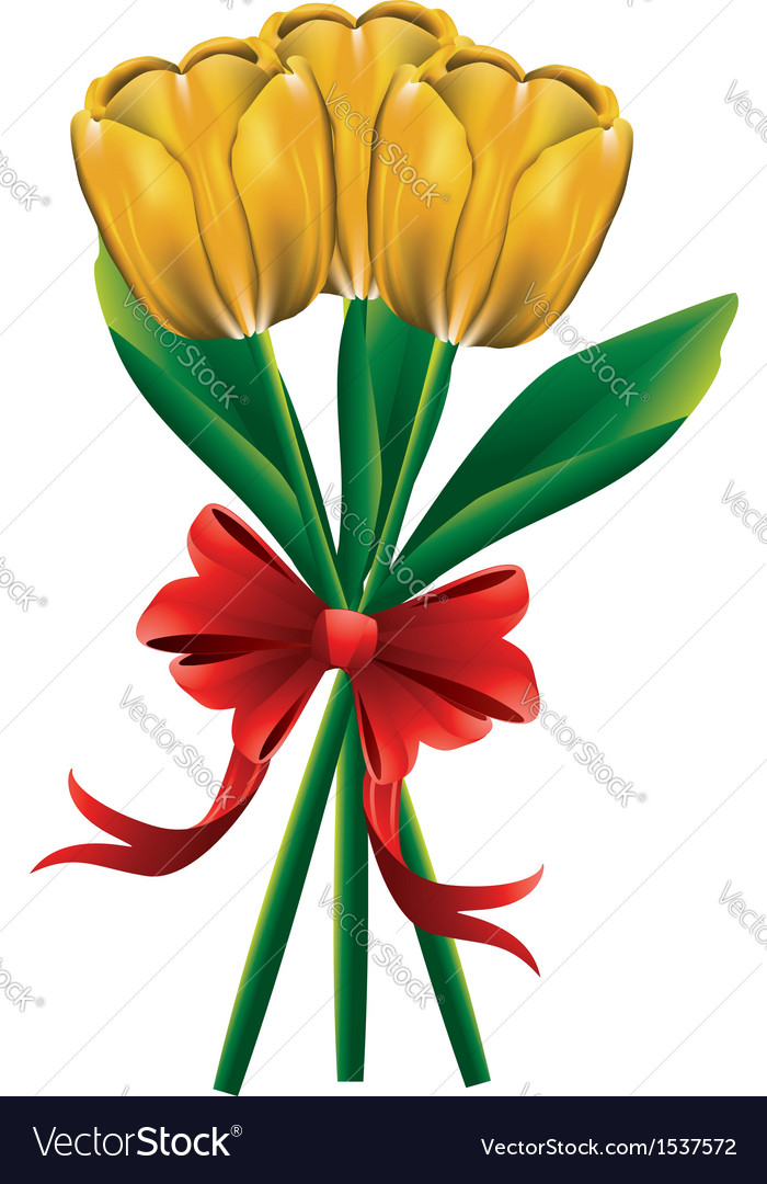 Tulip bouquet with red bow3