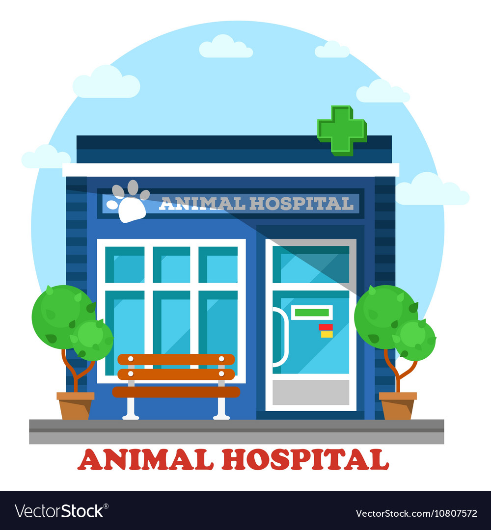 Veterinary medicine or hospital for animals Vector Image Veterinary medicine or hospital for animals Vector Image