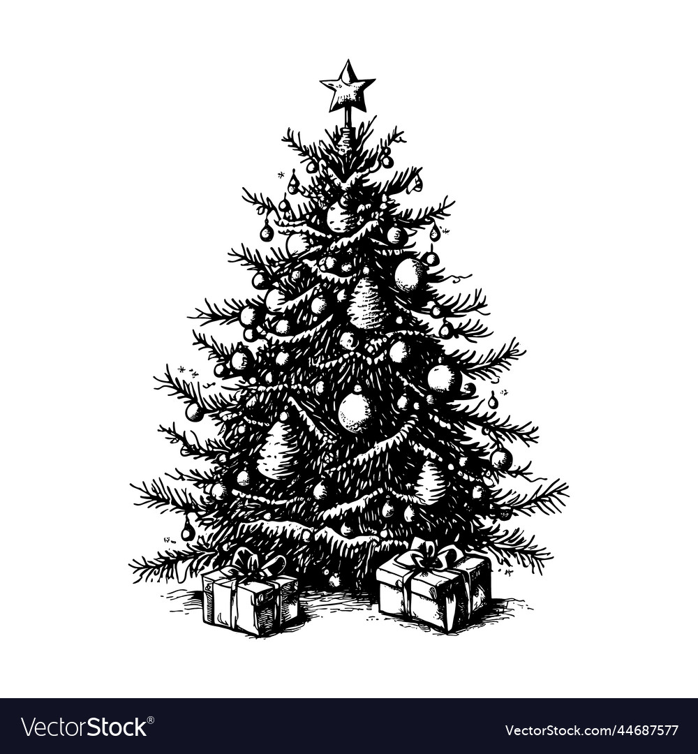 Hand drawn of christmas tree Royalty Free Vector Image