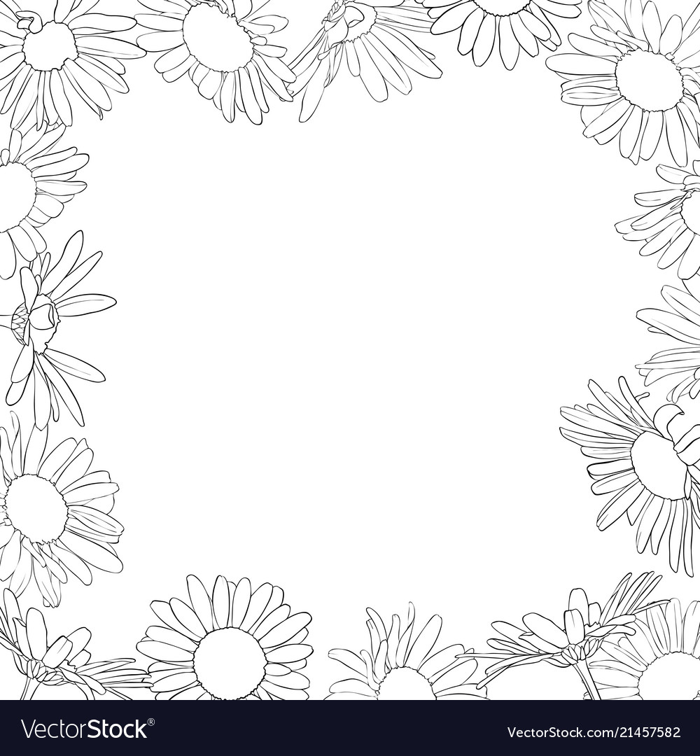 Frame with drawing daisy flowers