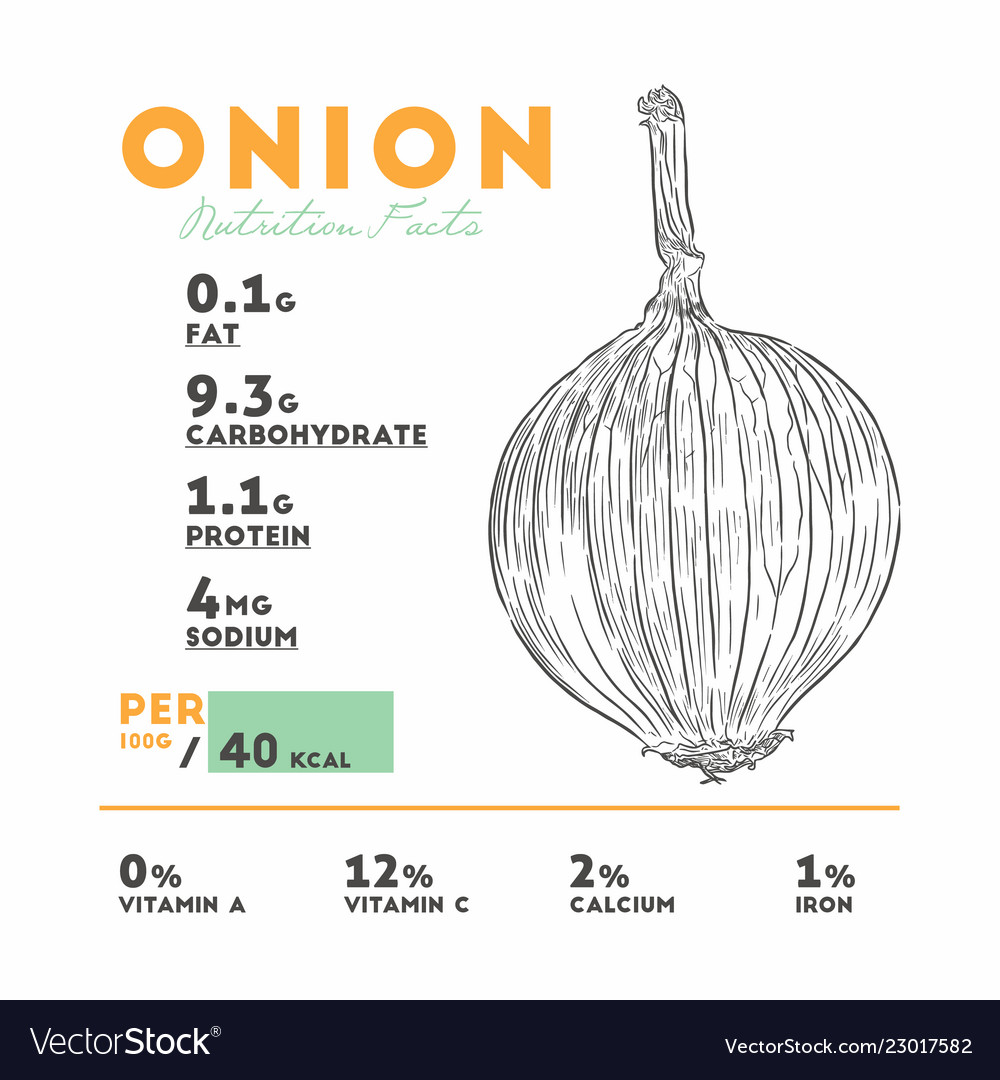Nutrition Facts Raw Onion Royalty Free Vector Image