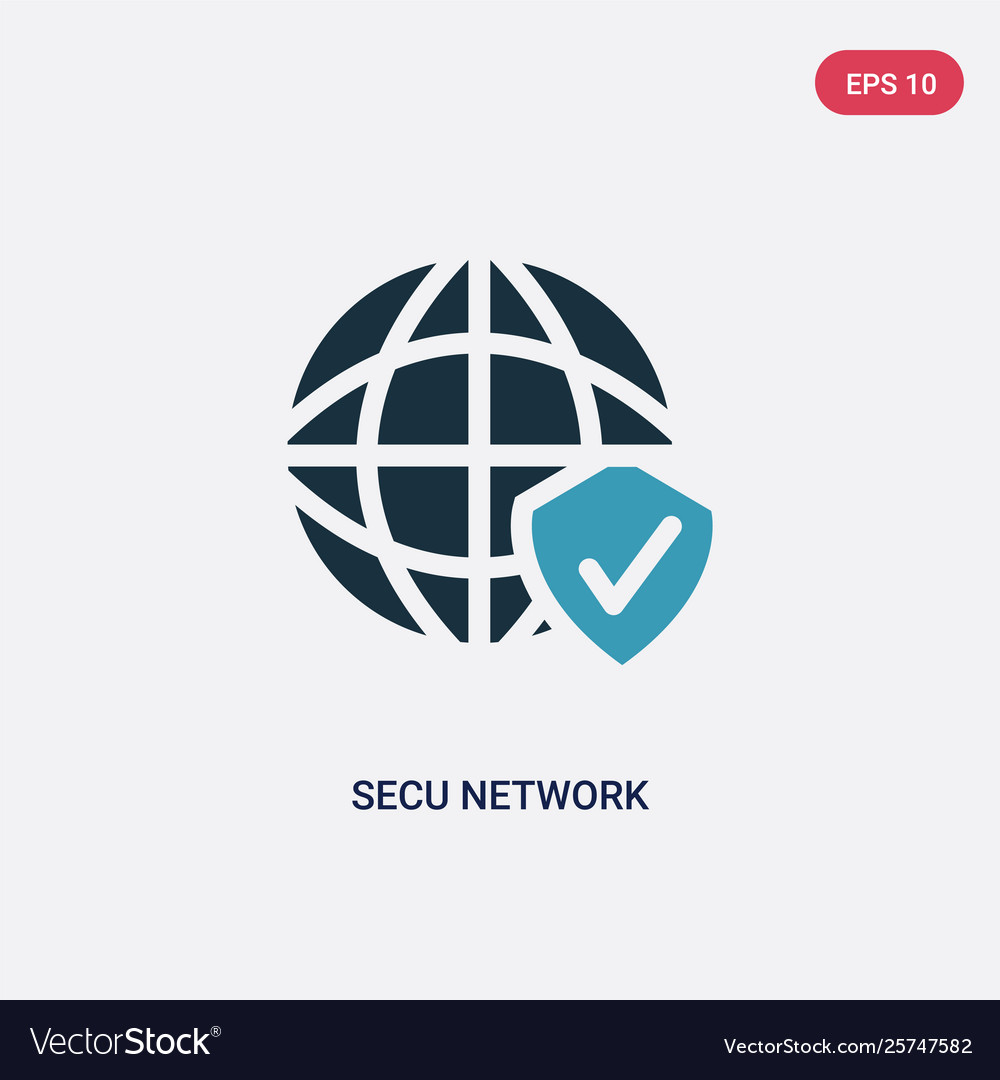 Two color secu network icon from programming vector image Two color secu network icon from programming