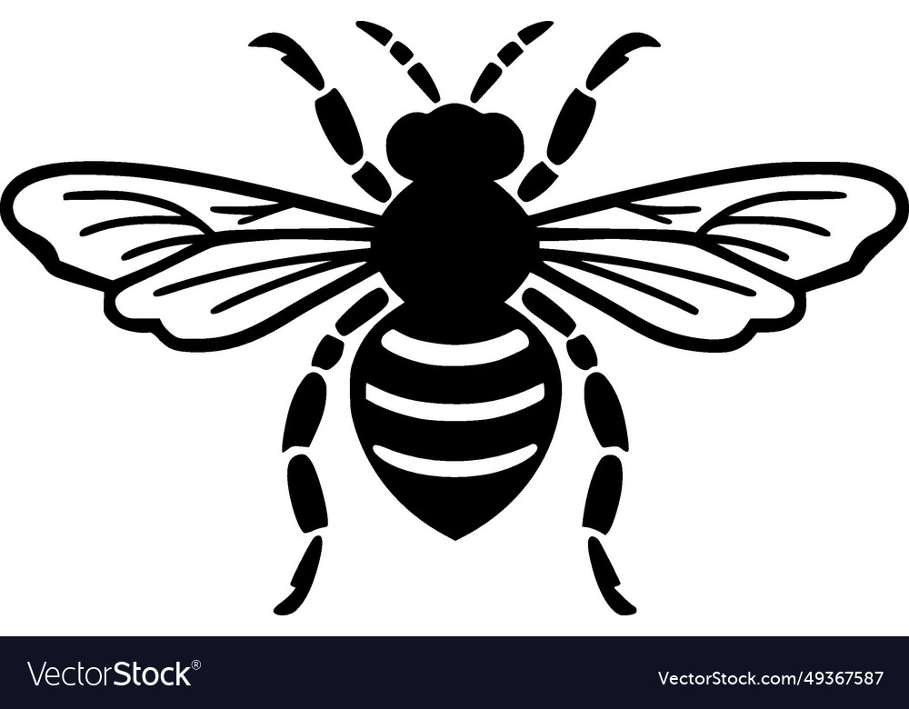 Bee - black and white Royalty Free Vector Image