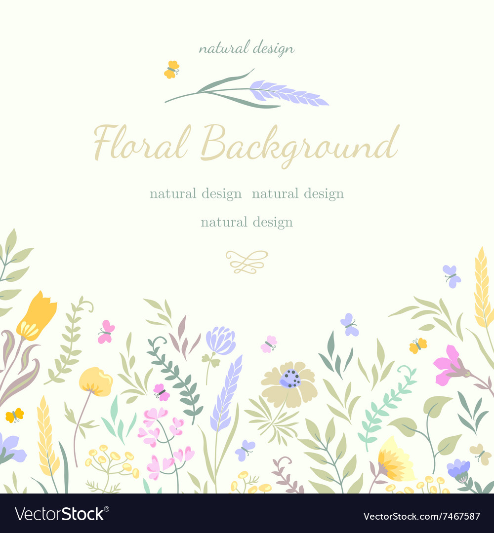 Cute summer card with colored flowers and herbs Vector Image